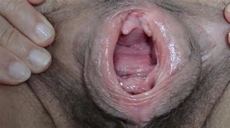 Wet And Hairy Gaped Pussy XHamster