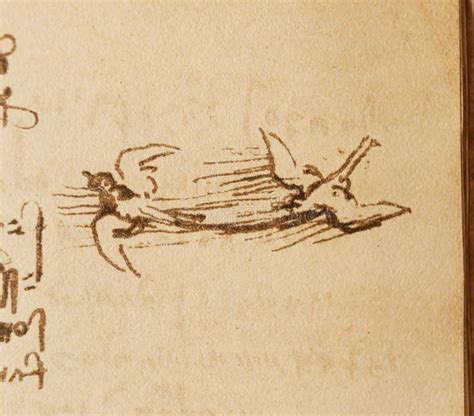 Manuscript Drawings Bird S Flight By Leonardo Da Vinci In The Old