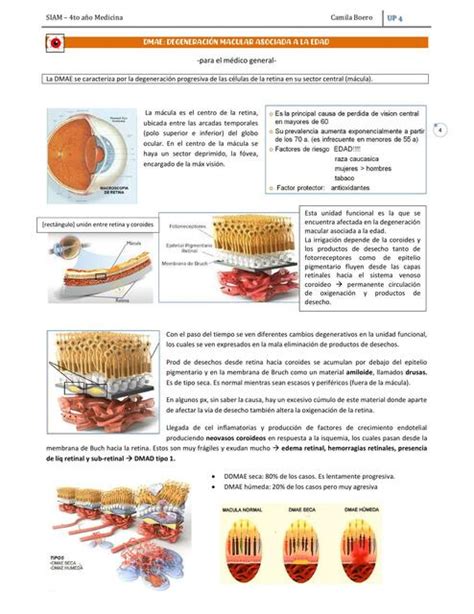 Degeneración Macular Asociada a la Edad UP4 UNER Medicina uDocz