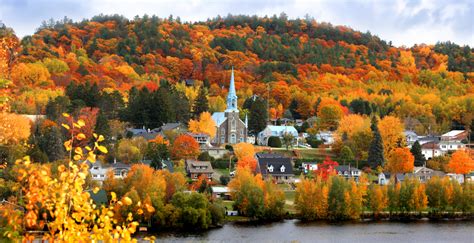 Fall foliage map shows when and where the leaves will peak in Quebec | Listed