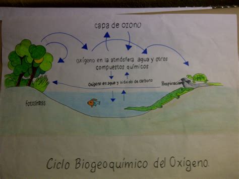 Ciclo Del Carbono Dibujo Facil Slipingamapa