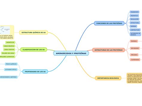 Amino Cidos Y Prote Nas Mind Map