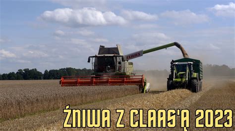 Niwa Pszenicy Z Claas Claas Lexion Claas Arion U R