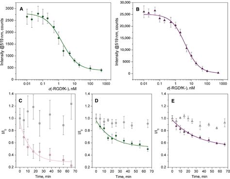 Focal Adhesion Stabilization By Enhanced Integrin Crgd Binding Affinity