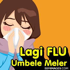 Detail Animasi Gambar Hidung Koleksi Nomer