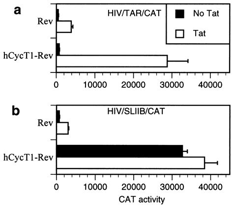 Recruitment Of Cyclin T1 P TEFb To An HIV Type 1 Long Terminal Repeat