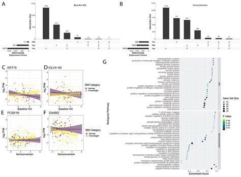 Multi Scale Co Expression Network Analysis Using MEGENA We Defined