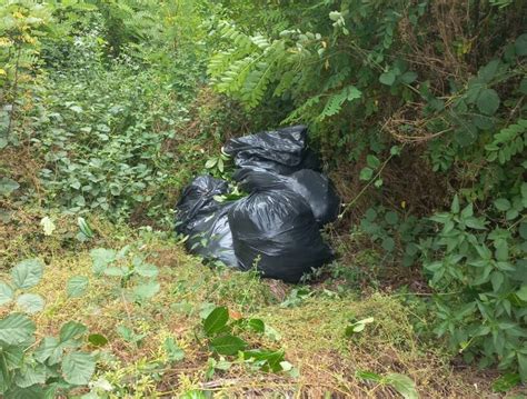 Colto In Flagranza Mentre Lancia Sacchi Di Sfalci Nella Scarpata Multa