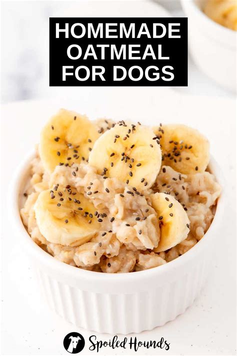 How to Cook Oatmeal for Dogs (2 Ways + Mix-ins) - Spoiled Hounds