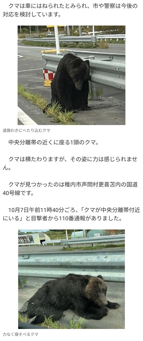 クマ「人間の車カスは酷いクマ」車カスに撥ねられ力なくへたり込むクマがかわいいと話題 [866556825] あらまめ2chあらまめ2ch