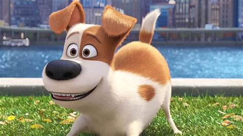 La Vida Secreta De Tus Mascotas Regres Al Top De Netflix Te