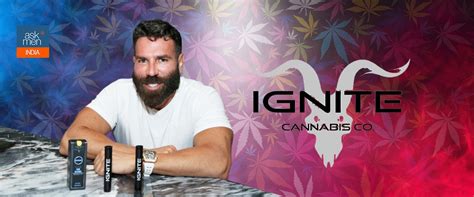 Dan Bilzerian Launches Ignite Cannabis Co Promises You The Best Weed