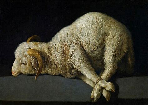 Agnus Dei The Lamb Of God Painting By Francisco De Zurbaran Fine Art America