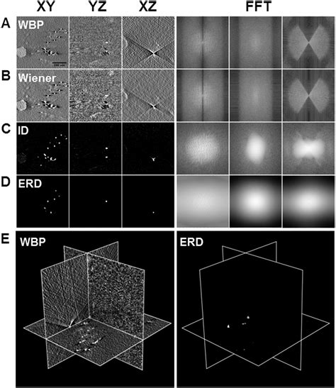 Three Dimensional Deconvolution Processing For Stem Cryotomography Pnas