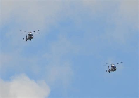 dauphin helicopter  military photo video website
