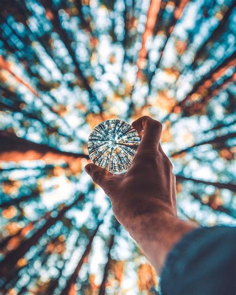 A Stunning Appealing Capture In A Forest By Liampozz Lensball