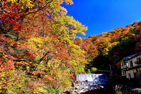 Colorful Autumn Forest In Hot Spring Resorts Of Nyuto Onsenkyo Stock Photo Image Of Beautiful