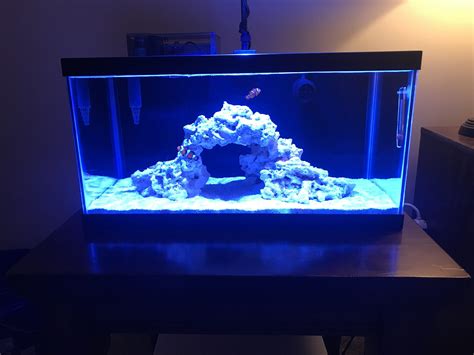 New G Nano Reef Beginners Discussion Nano Reef Community