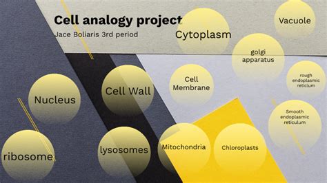 Cell Analogy Project By Jace Boliaris On Prezi