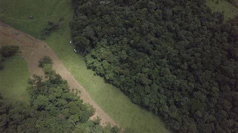 Coca Cola Femsa Brasil Prorroga Para De Julho Inscri Es Do Edital