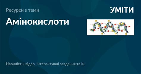 Амінокислоти – УМІТИ