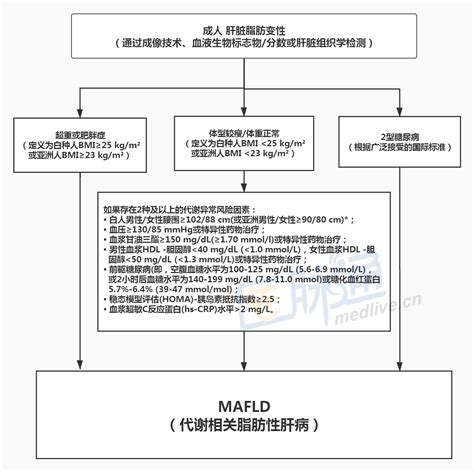 从nafld到mafld，临床诊治的一大步｜专家视角非酒精性脂肪性肝病医脉通