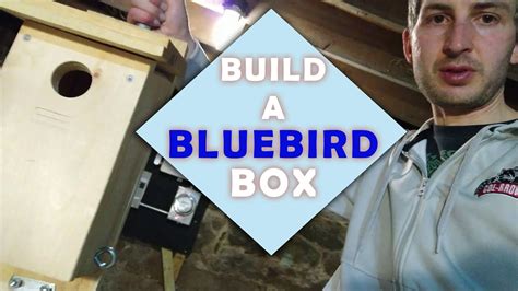 Build A Bluebird Box Plans Included Youtube