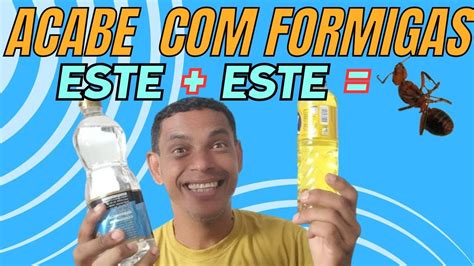 Como Acabar De Vez Com Formigas Na Cozinha Comida Potes Como Matar