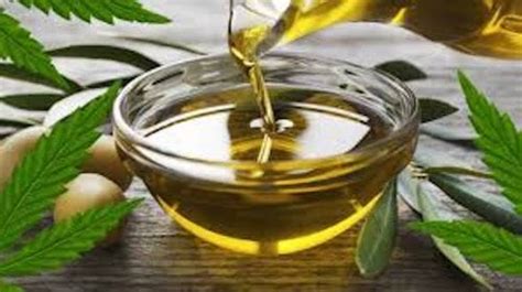 Learn How To Make Cannabis Cooking Oil & Start Infusing Your Food