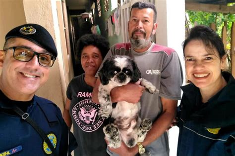 Cachorrinho fica preso entre grades de portão e é resgatado pela GCM de