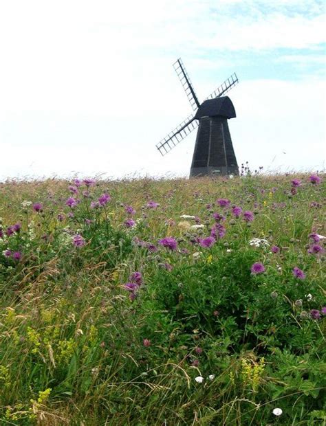 Rottingdean Windmill Sussex