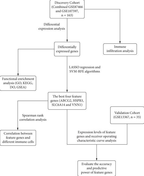 Flowchart Of The Analysis Process Download Scientific Diagram