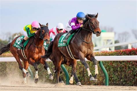 【根岸s】エンペラーワケアが3連勝で重賞タイトル奪取 日刊ゲンダイ競馬