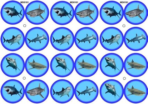 24 Fabulous Pre Cut Edible Wafer Cake Toppers Sharks