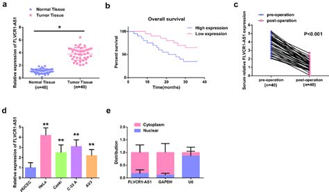 Overexpression Of Flvcr1 As1 In Cc Tissues And Cell Lines Predicts