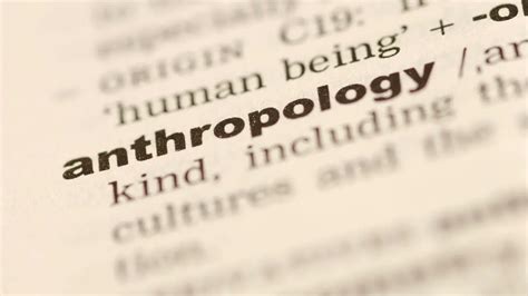 The 4 Main Branches of Anthropology - Unlocking the Secrets of Human ...