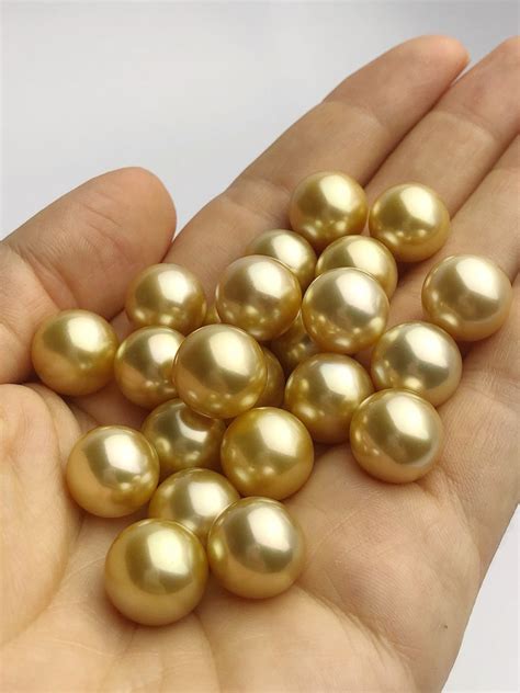 Top Quality Golden South Sea Loose Pearls Round Mm Etsy