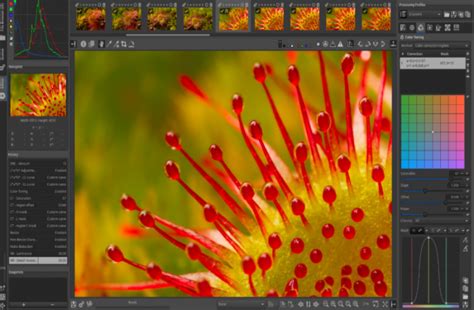 Best RAW Photo Editor In 2021 Free And Paid Mac Windows