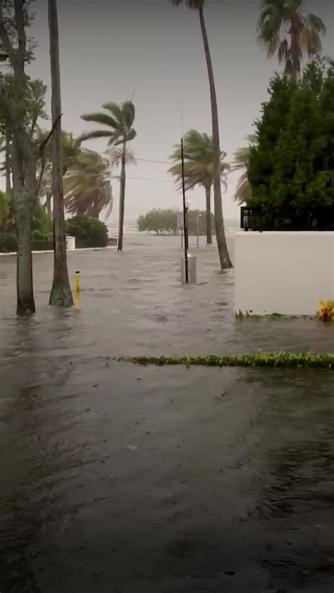 0830_TAMPA_FLOODING_VIDEO_NATIONAL - Videos from The Weather Channel