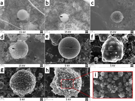 Simulant Molten Coreconcrete Interaction Experiments In View Of