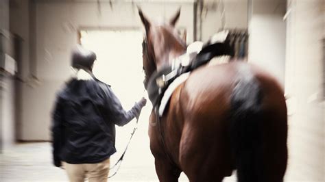 Kamera Berwachung Bei Helgstrand Dressage Reaktion Auf Enth Llungen