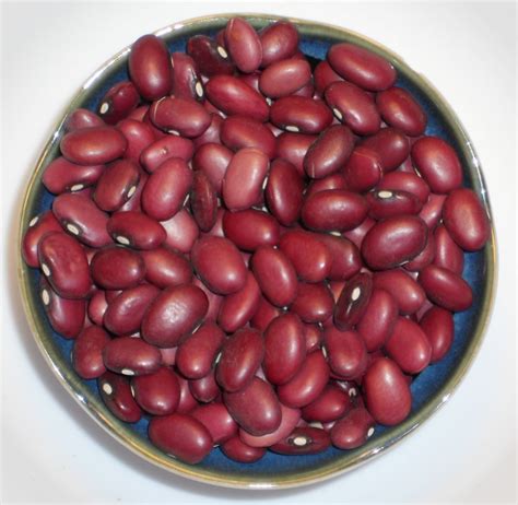 Louisiana Small Red Beans Field Bush Bean Heirloom Garden Vegetable 0