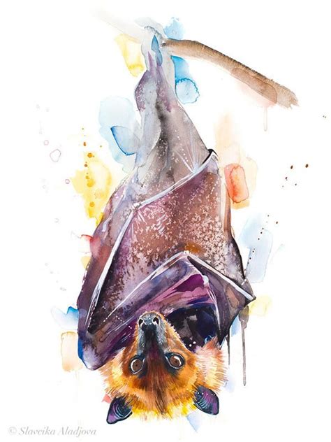 Animals Artwork Animal Paintings Animal Drawings Watercolor Animals