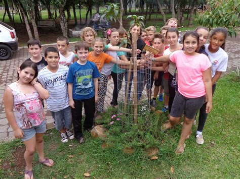 Escola Mundo Encantado Cuidados Ap S O Plantio De Rvores No Parque