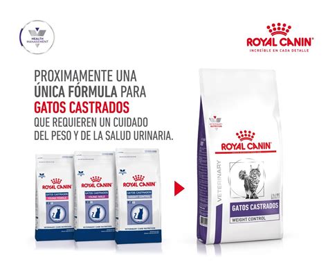 Royal Canin Gatos Castrados Weight Control Kg