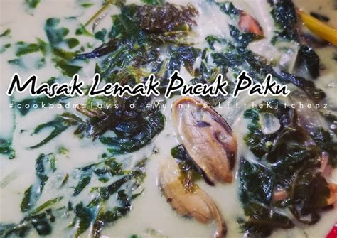 Resepi Masak Lemak Pucuk Paku Yang Lazat Dan Easy Resepi Orang Kampung