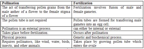 Explain The Difference Between Pollination And Fertilization