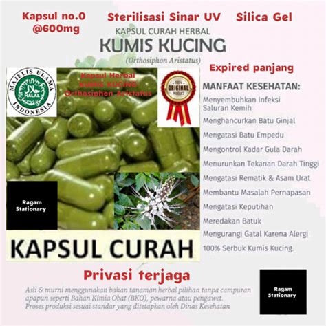 Jual Kapsul Bubuk Kumis Kucing Herbal Jamu Obat Curah 100 Butir Klip