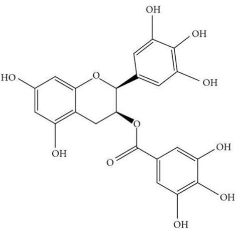 黄酮醇 快懂百科