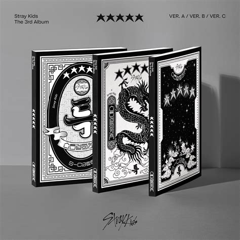 Stray Kids Album Vol 3 ★★★★★ 5 Star Standard Ver Random K